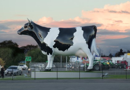 Morrinsville's "Mega Cow"